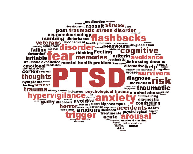 Om PTSD og andre diagnoser